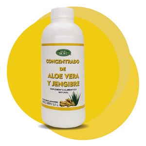 Concentrado de Aloe Vera y Jengibre 1.1 L