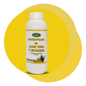 Concentrado de Aloe Vera y Jengibre 500 ml